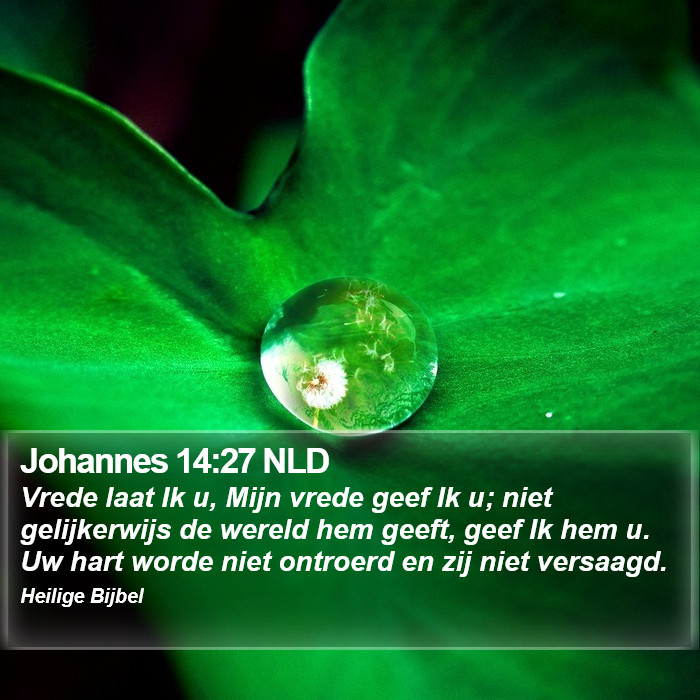 Johannes 14:27 NLD Bible Study