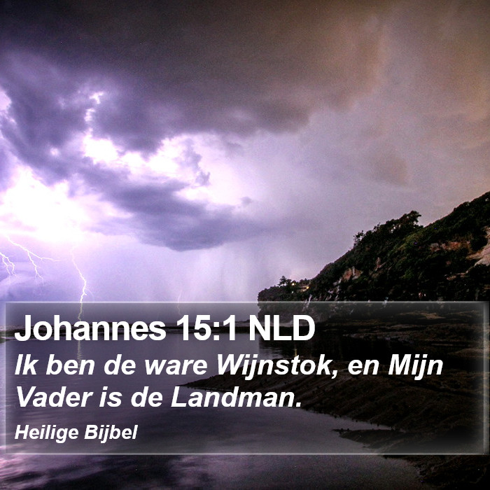 Johannes 15:1 NLD Bible Study