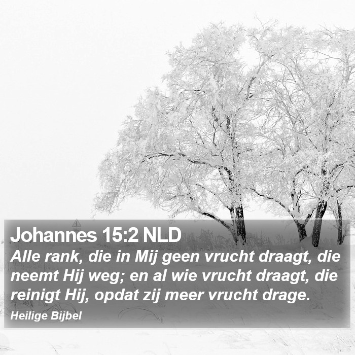 Johannes 15:2 NLD Bible Study