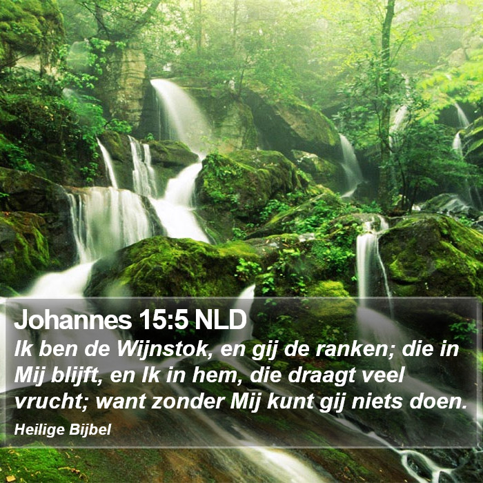 Johannes 15:5 NLD Bible Study