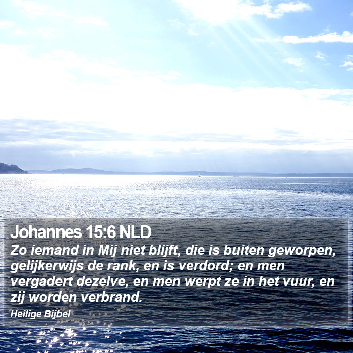 Johannes 15:6 NLD Bible Study