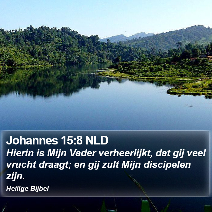 Johannes 15:8 NLD Bible Study