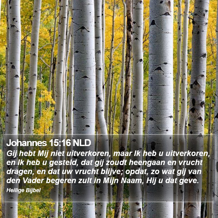 Johannes 15:16 NLD Bible Study