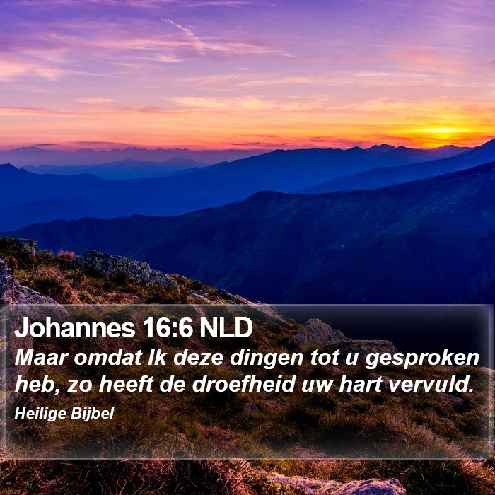 Johannes 16:6 NLD Bible Study