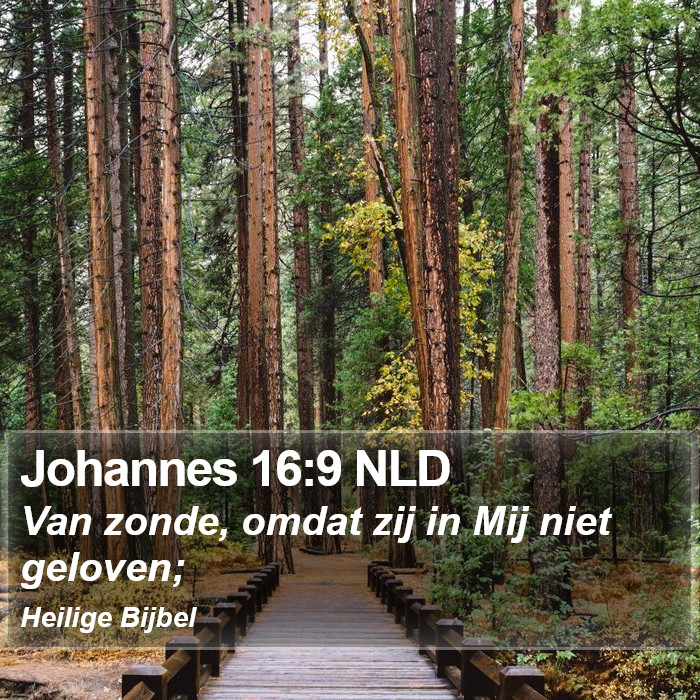 Johannes 16:9 NLD Bible Study