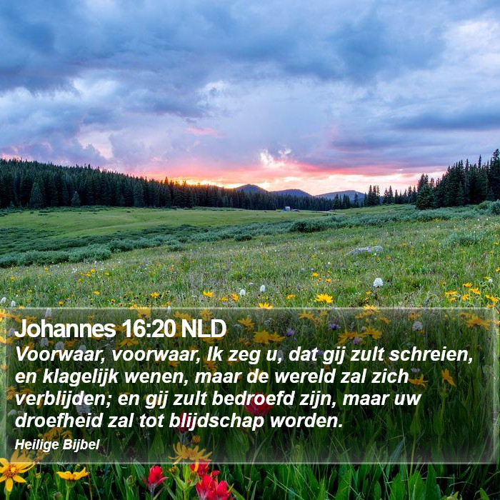 Johannes 16:20 NLD Bible Study