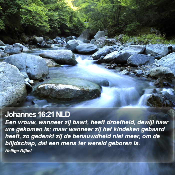 Johannes 16:21 NLD Bible Study