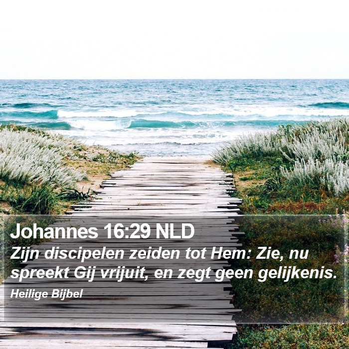 Johannes 16:29 NLD Bible Study