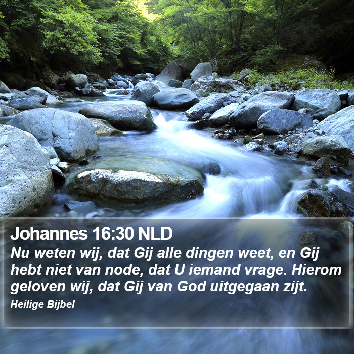 Johannes 16:30 NLD Bible Study