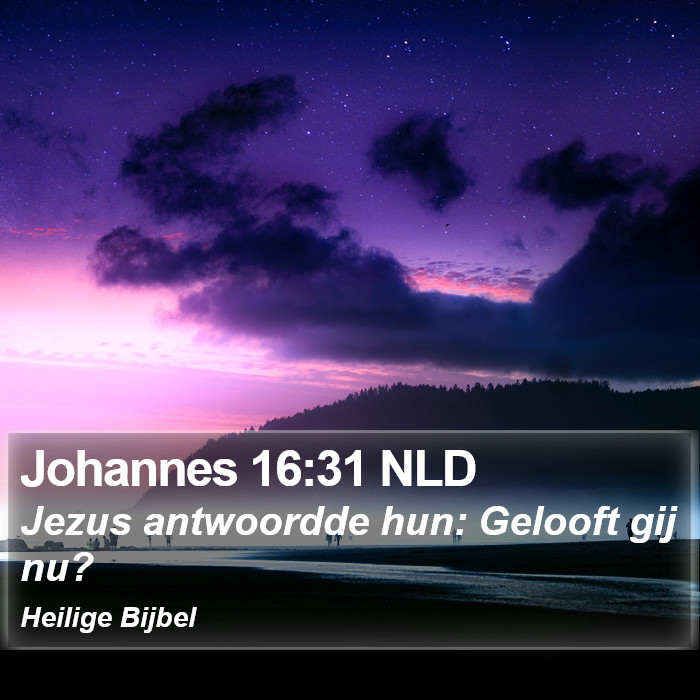 Johannes 16:31 NLD Bible Study