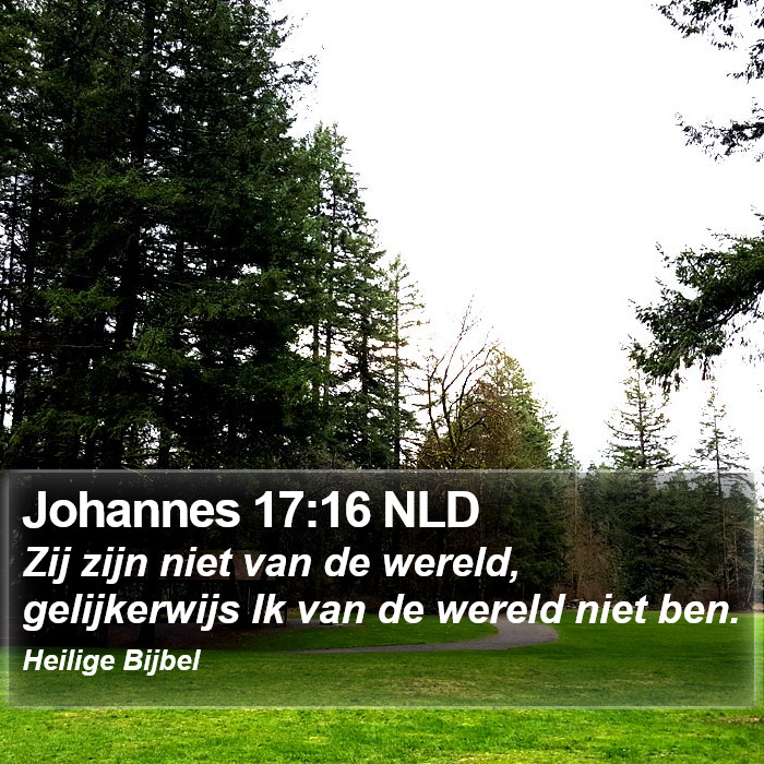 Johannes 17:16 NLD Bible Study