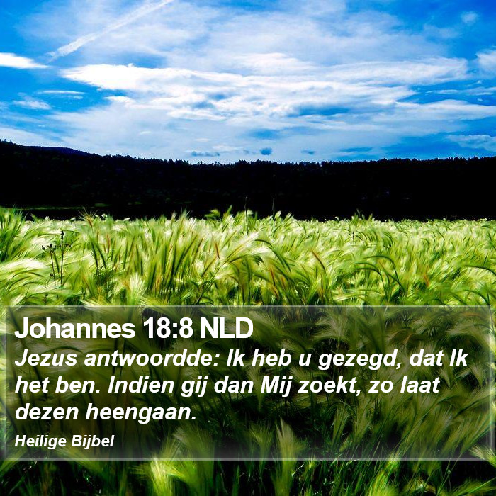 Johannes 18:8 NLD Bible Study