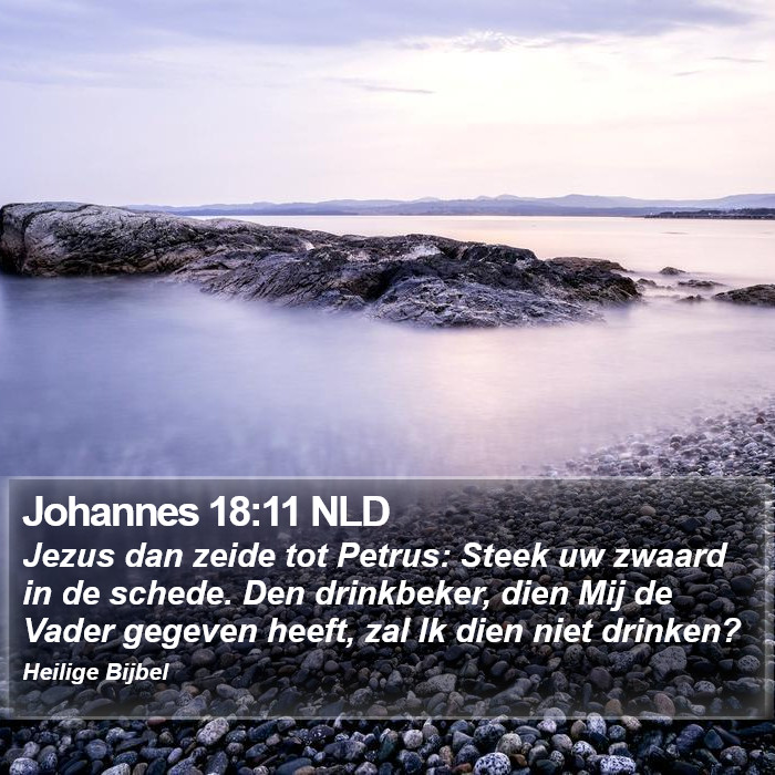 Johannes 18:11 NLD Bible Study