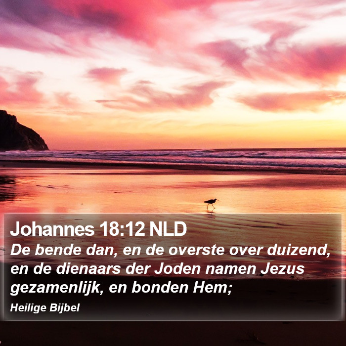 Johannes 18:12 NLD Bible Study