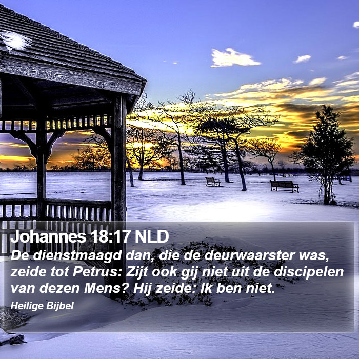 Johannes 18:17 NLD Bible Study