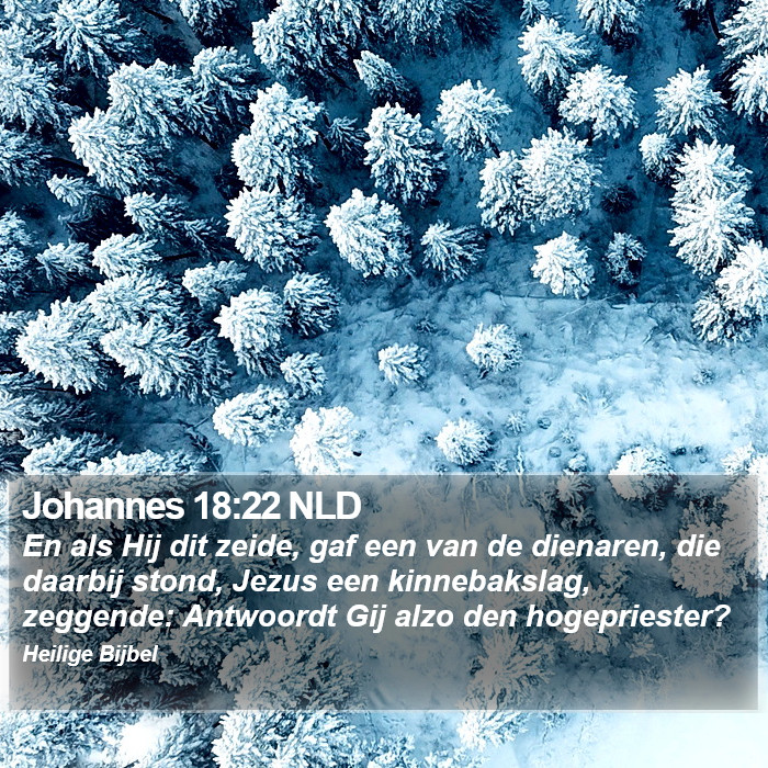 Johannes 18:22 NLD Bible Study