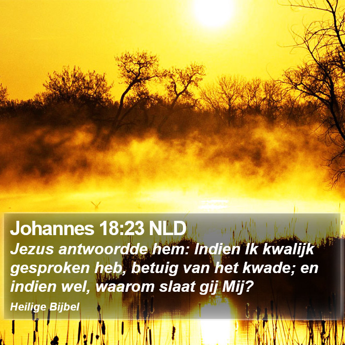 Johannes 18:23 NLD Bible Study