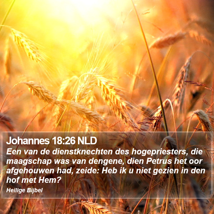 Johannes 18:26 NLD Bible Study