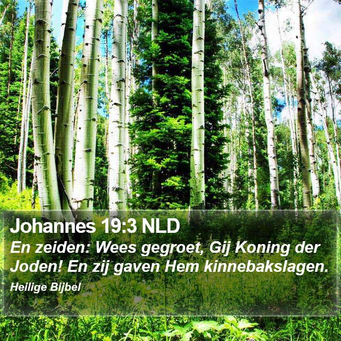 Johannes 19:3 NLD Bible Study