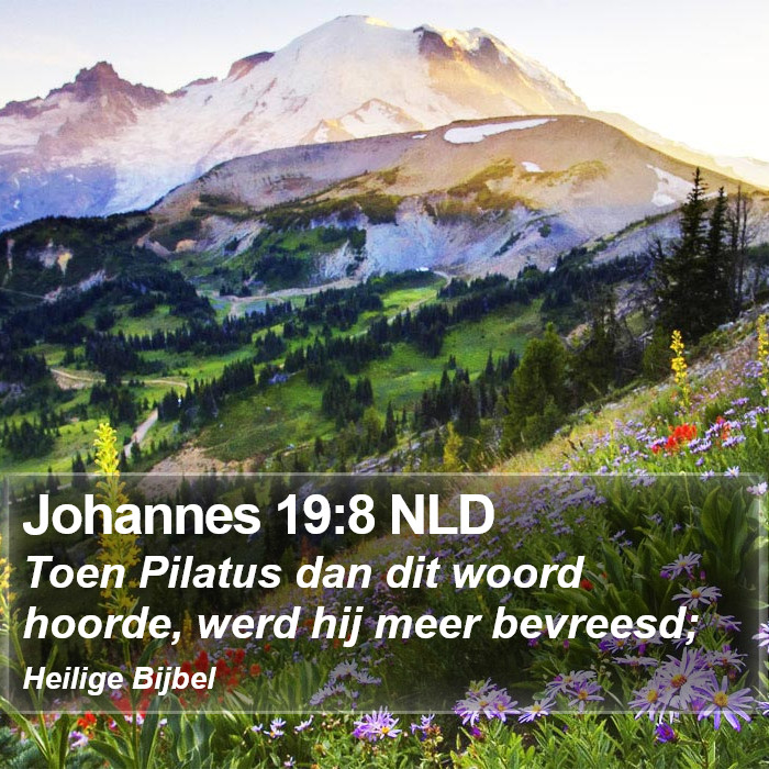 Johannes 19:8 NLD Bible Study