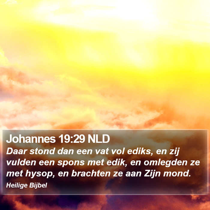 Johannes 19:29 NLD Bible Study