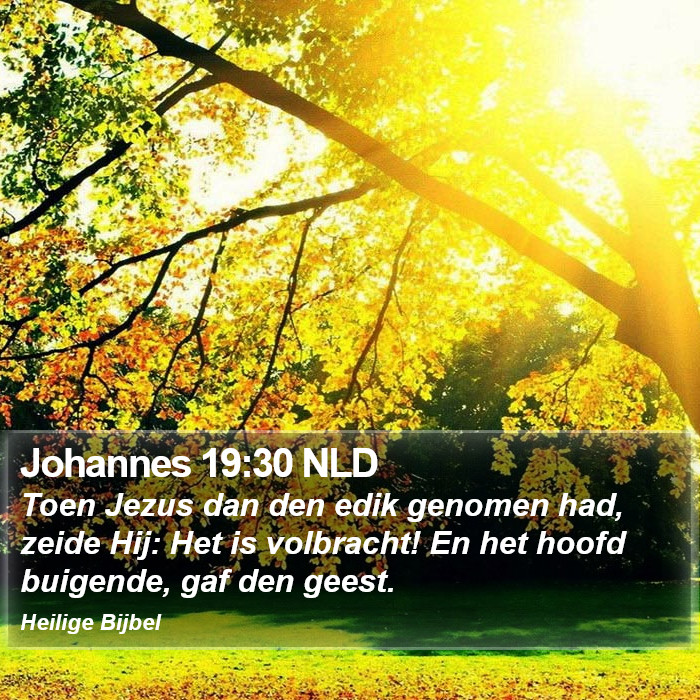 Johannes 19:30 NLD Bible Study