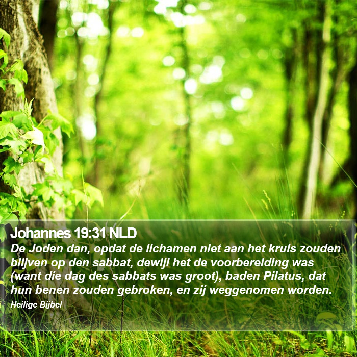 Johannes 19:31 NLD Bible Study