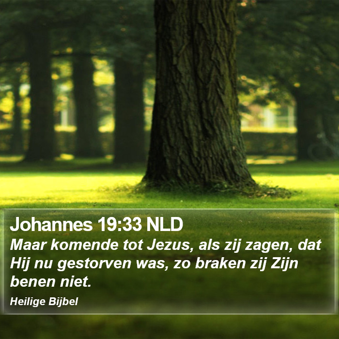 Johannes 19:33 NLD Bible Study