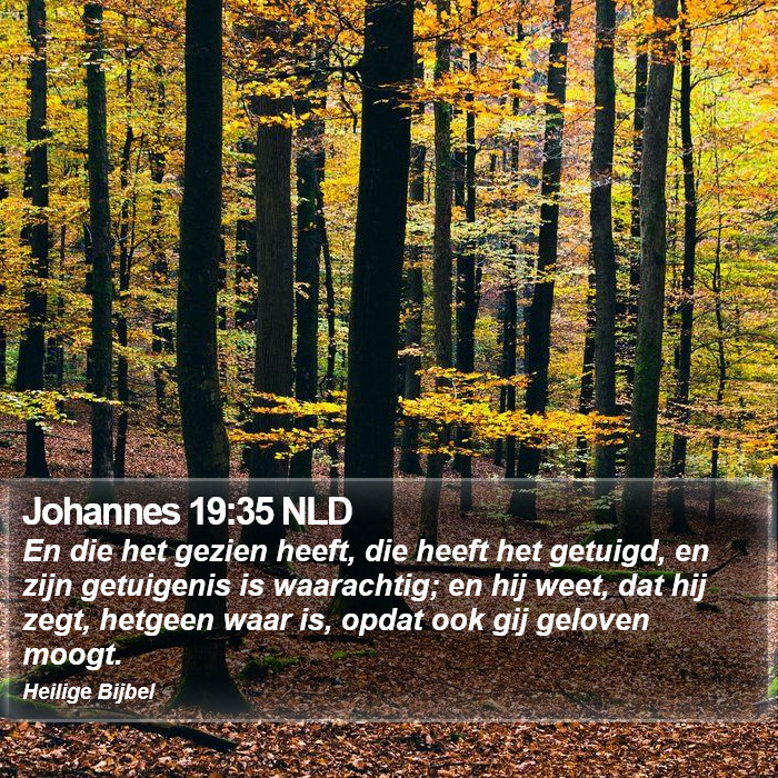 Johannes 19:35 NLD Bible Study