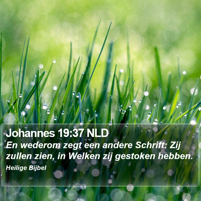 Johannes 19:37 NLD Bible Study