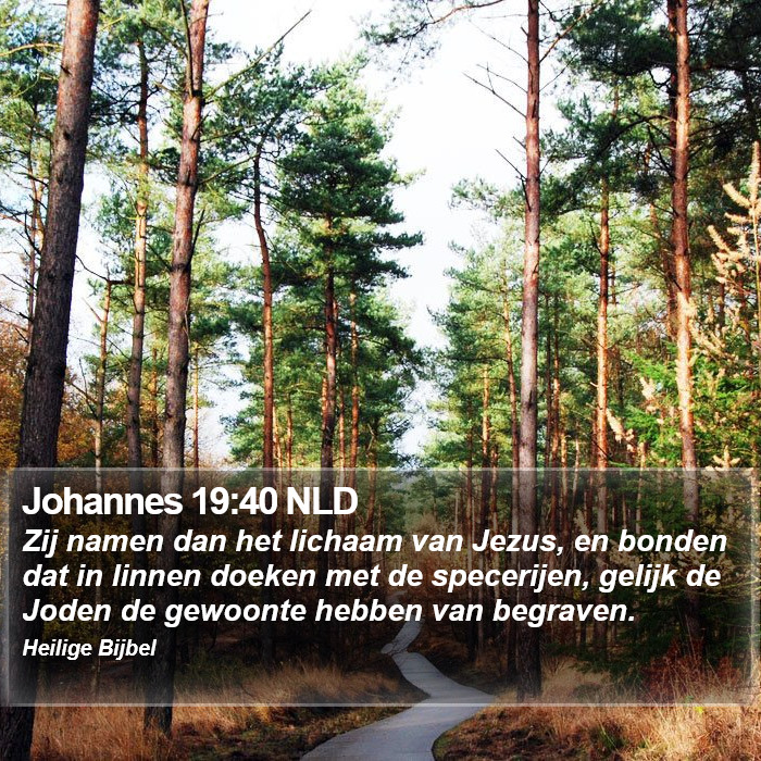 Johannes 19:40 NLD Bible Study