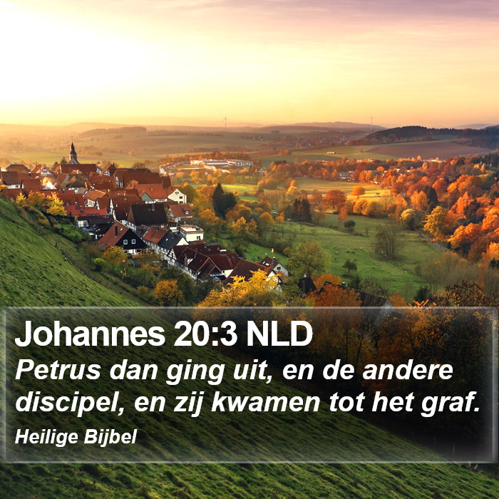 Johannes 20:3 NLD Bible Study