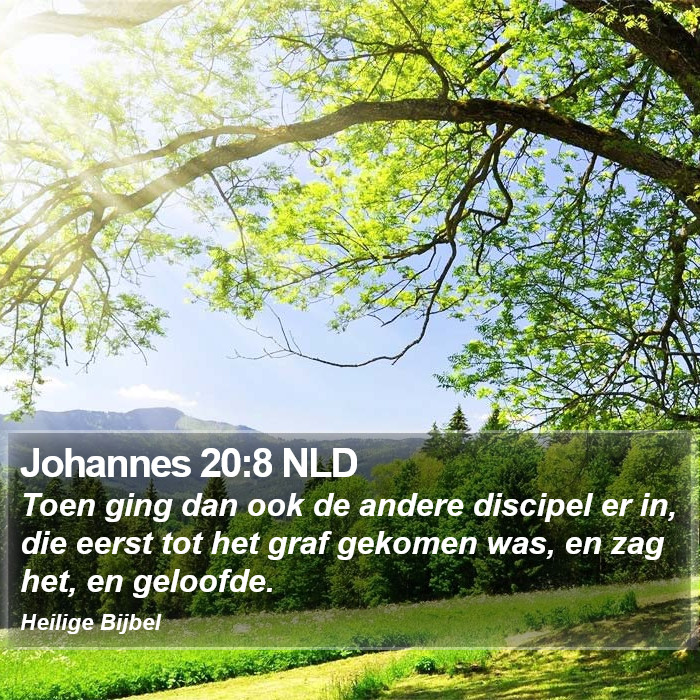 Johannes 20:8 NLD Bible Study