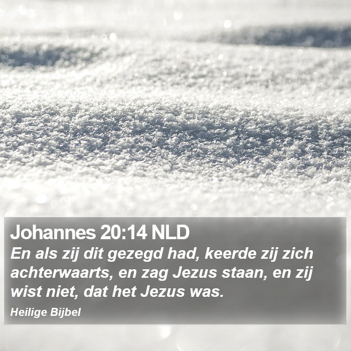 Johannes 20:14 NLD Bible Study