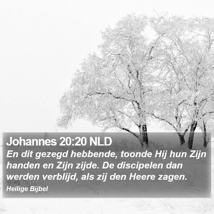 Johannes 20:20 NLD Bible Study