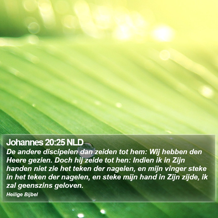 Johannes 20:25 NLD Bible Study