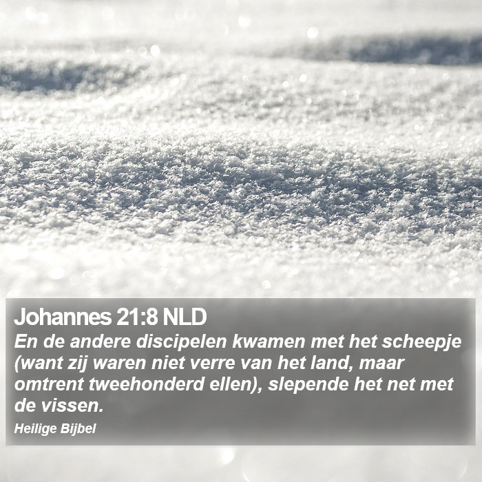 Johannes 21:8 NLD Bible Study