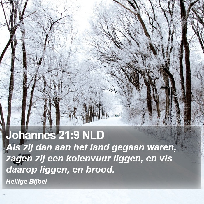 Johannes 21:9 NLD Bible Study