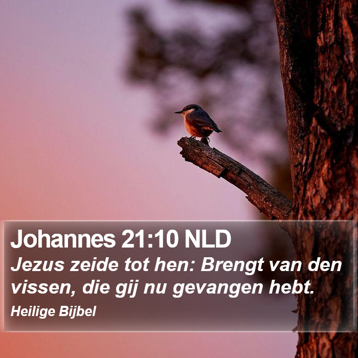 Johannes 21:10 NLD Bible Study