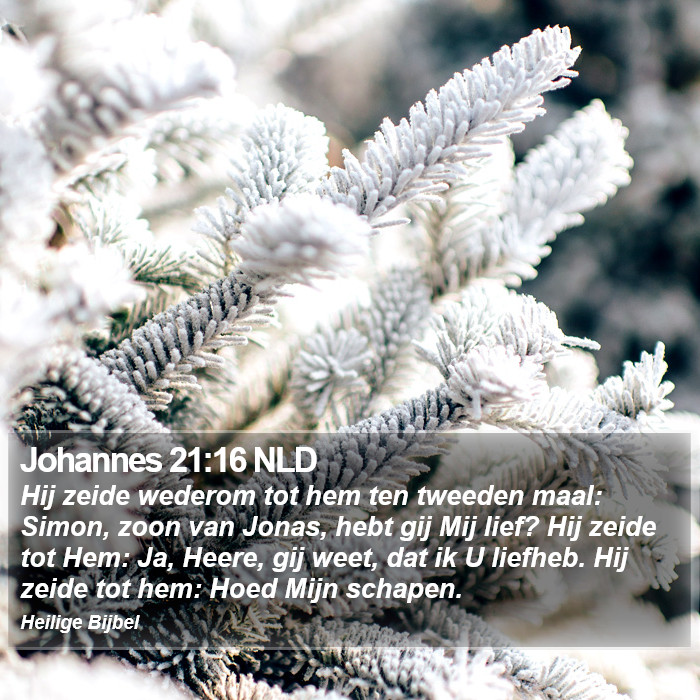 Johannes 21:16 NLD Bible Study