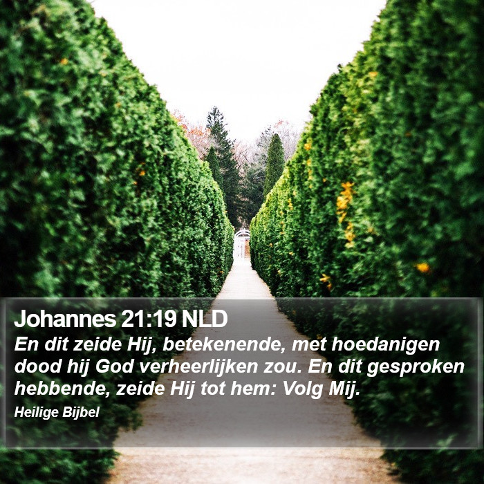 Johannes 21:19 NLD Bible Study