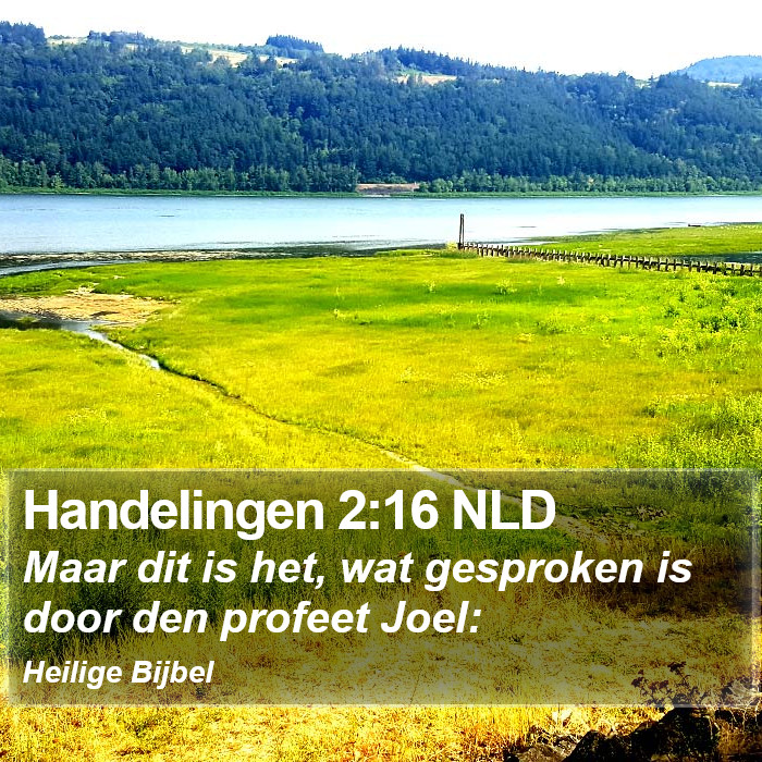 Handelingen 2:16 NLD Bible Study