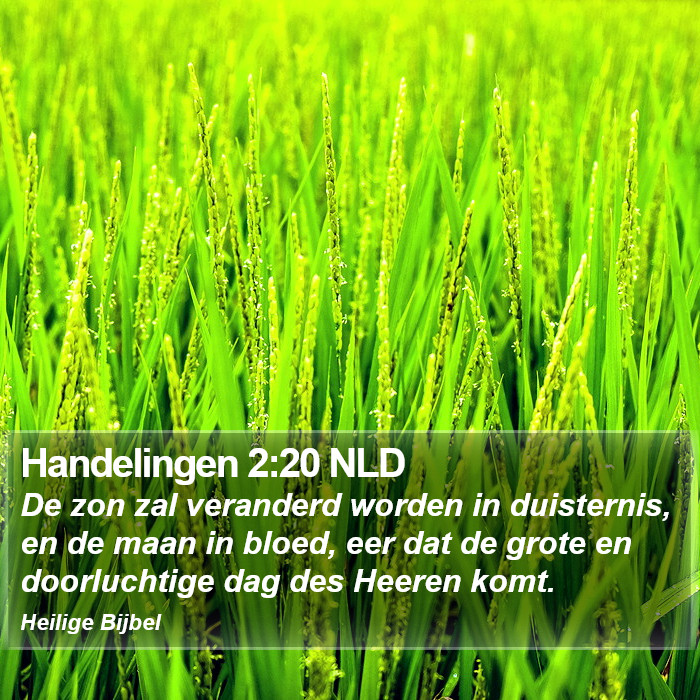 Handelingen 2:20 NLD Bible Study