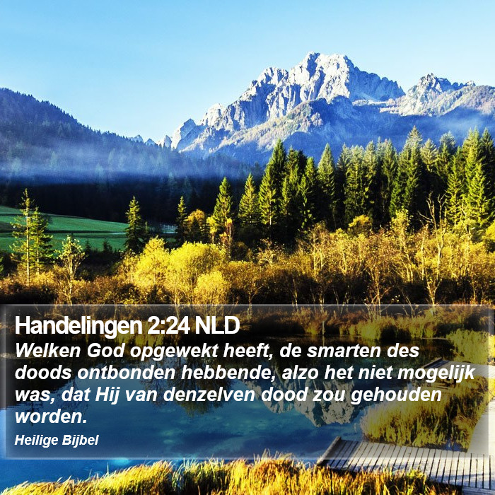 Handelingen 2:24 NLD Bible Study