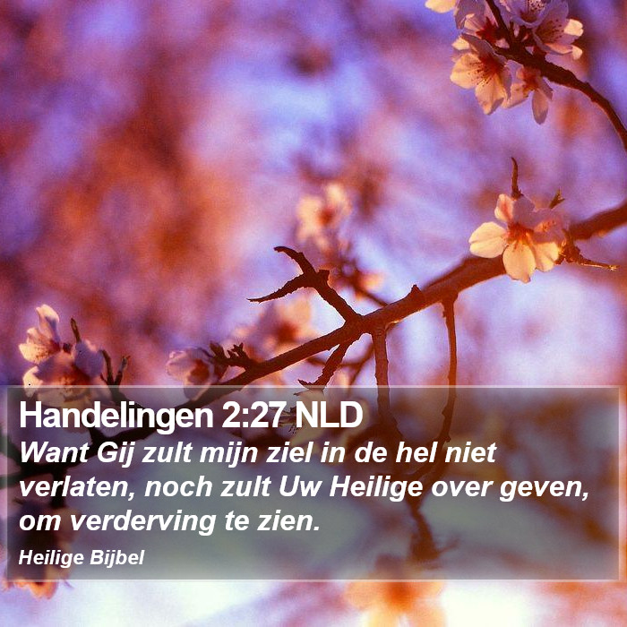 Handelingen 2:27 NLD Bible Study