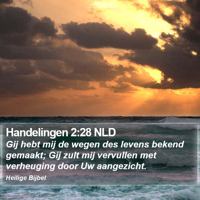 Handelingen 2:28 NLD Bible Study