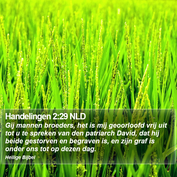 Handelingen 2:29 NLD Bible Study