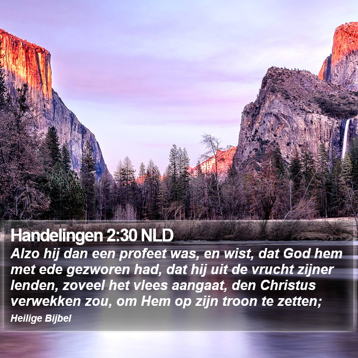 Handelingen 2:30 NLD Bible Study