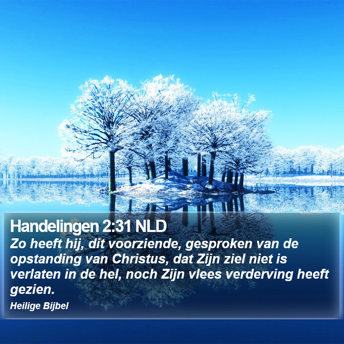 Handelingen 2:31 NLD Bible Study
