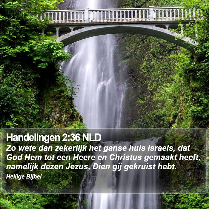 Handelingen 2:36 NLD Bible Study